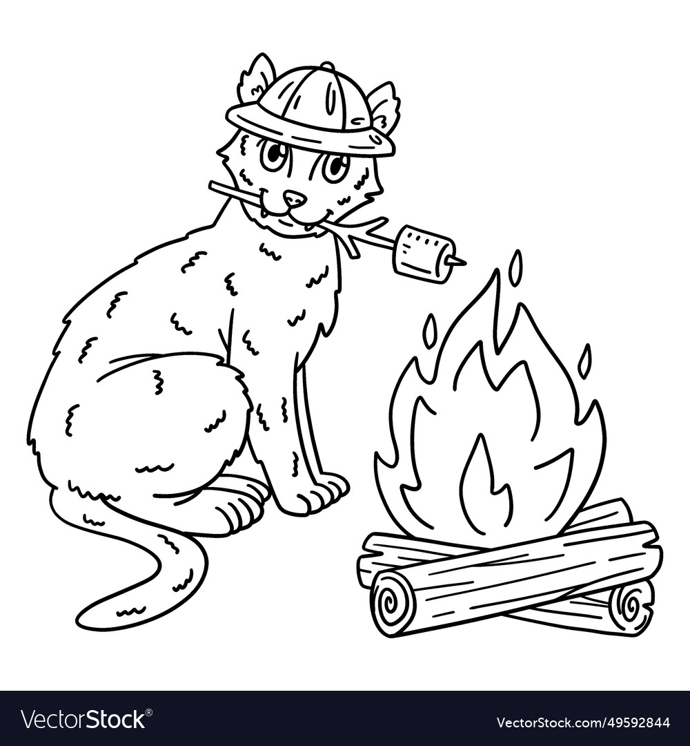 Camping cat roasting marshmallows isolated Vector Image