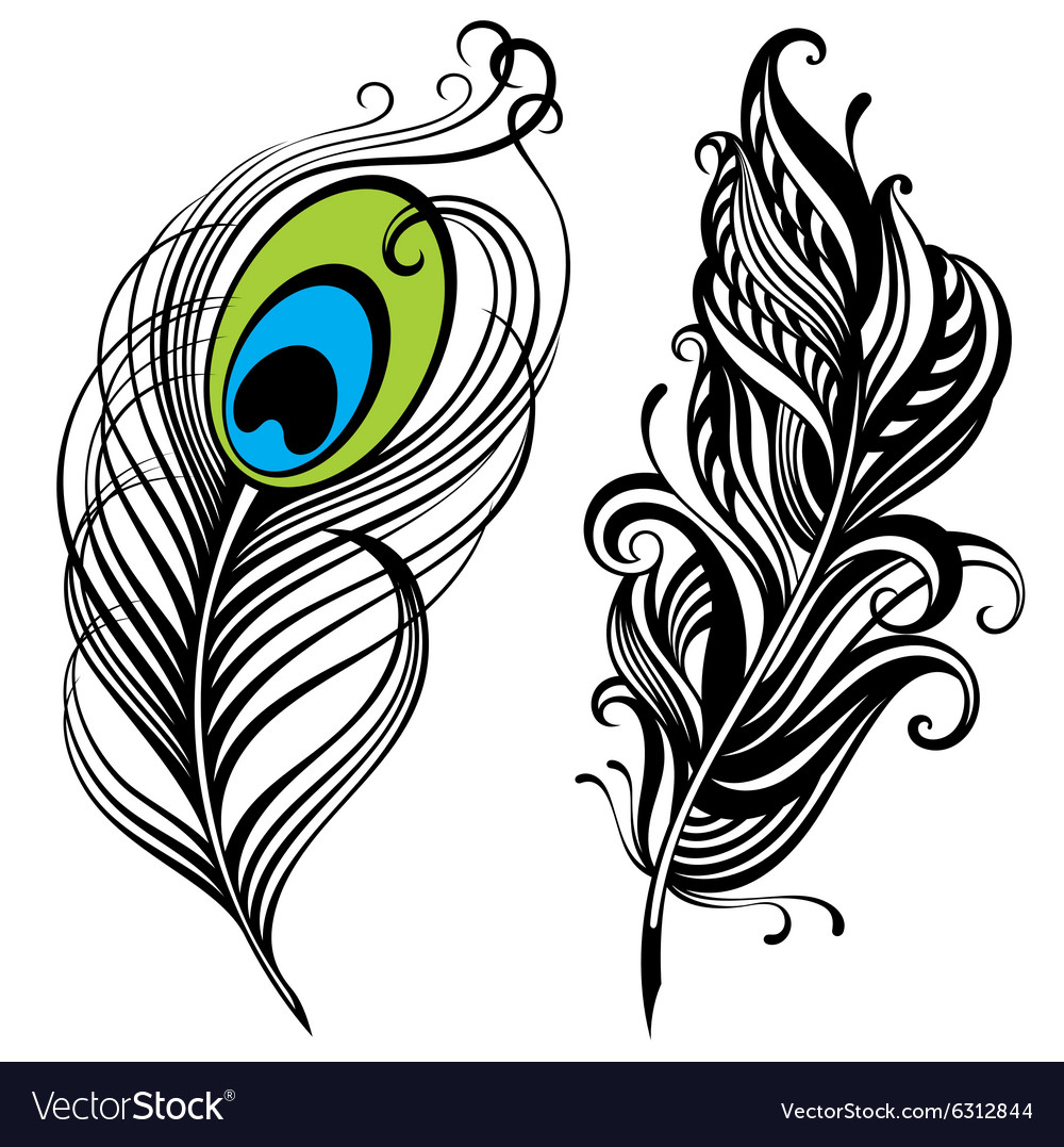 Feathers Royalty Free Vector Image - VectorStock