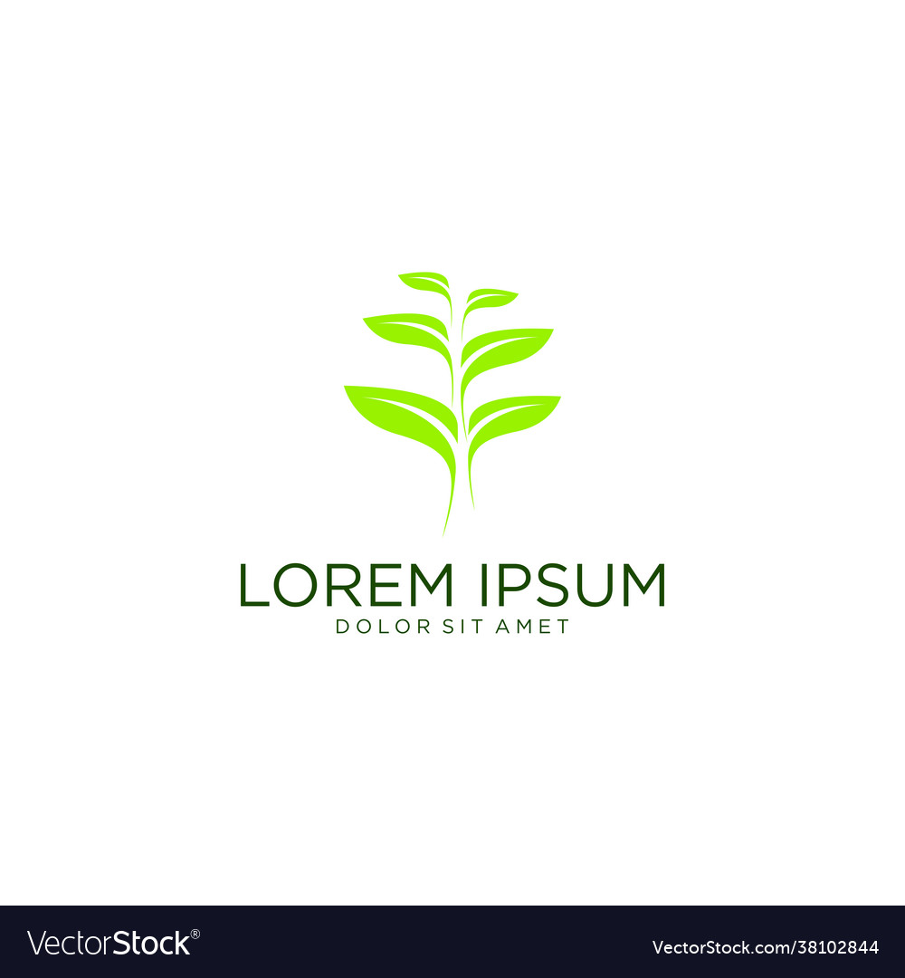 Nature green logo plant and leaves logo Royalty Free Vector