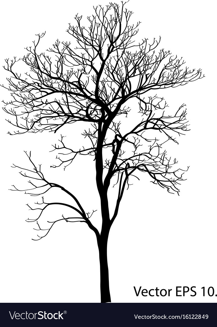 Dead tree without leaves sketched Royalty Free Vector Image