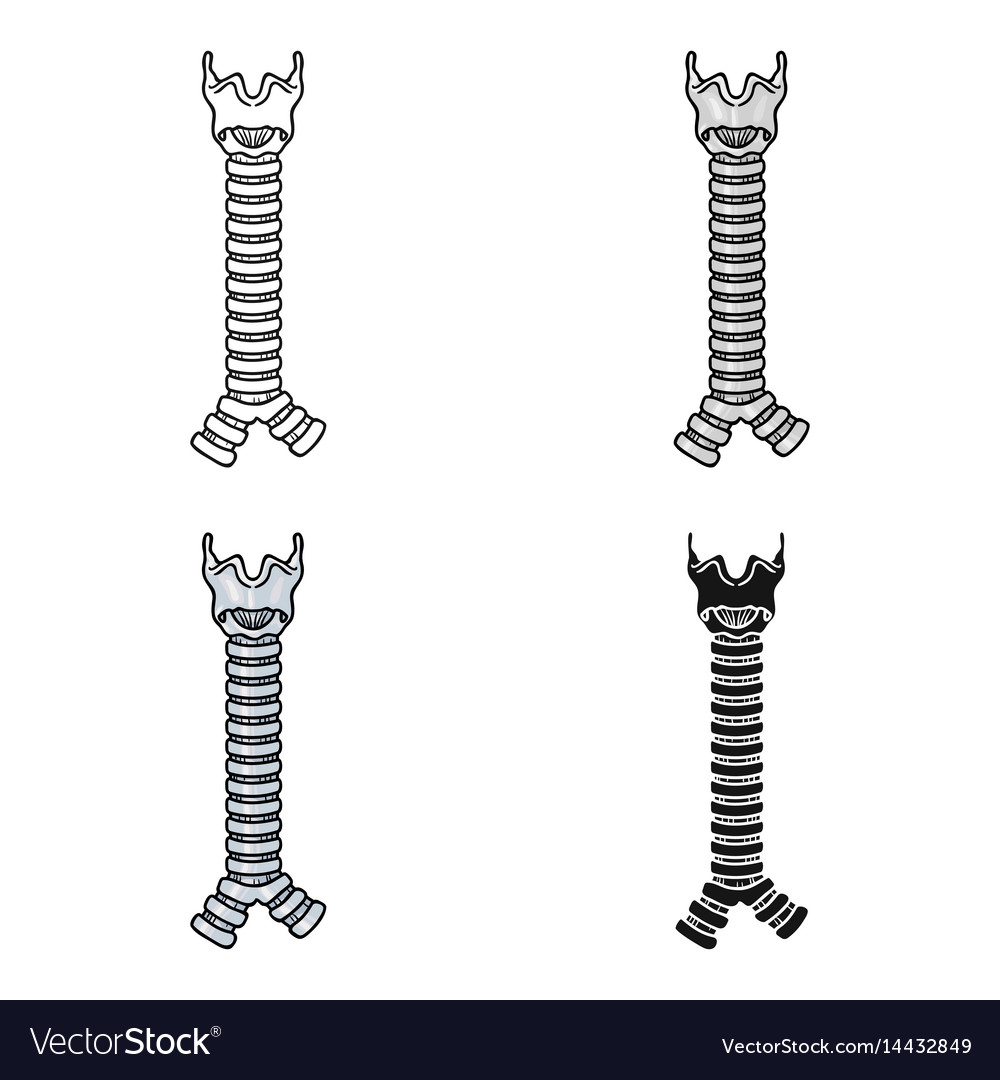 Human trachea icon in cartoon style isolated Vector Image