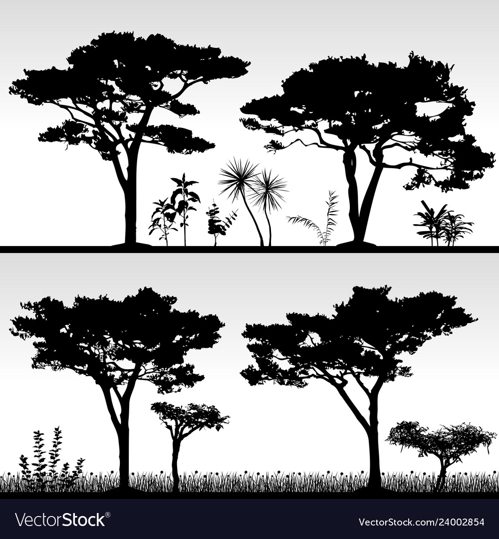 Big tree silhouette scenery artwork real Vector Image