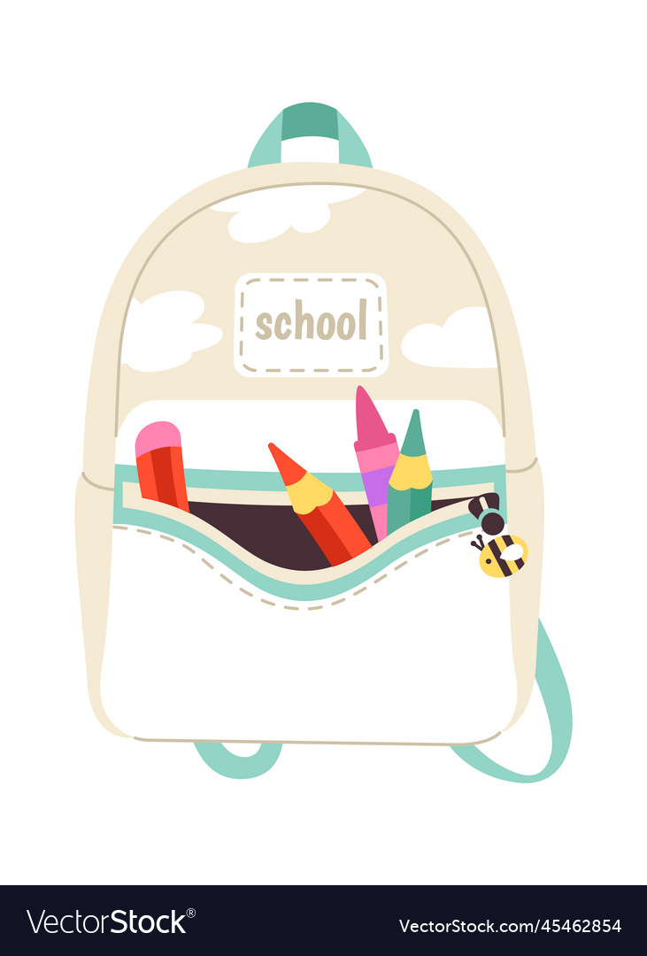 Flat school bags best sale