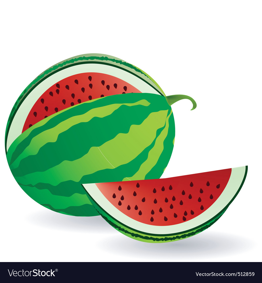 Watermelon Royalty Free Vector Image - VectorStock