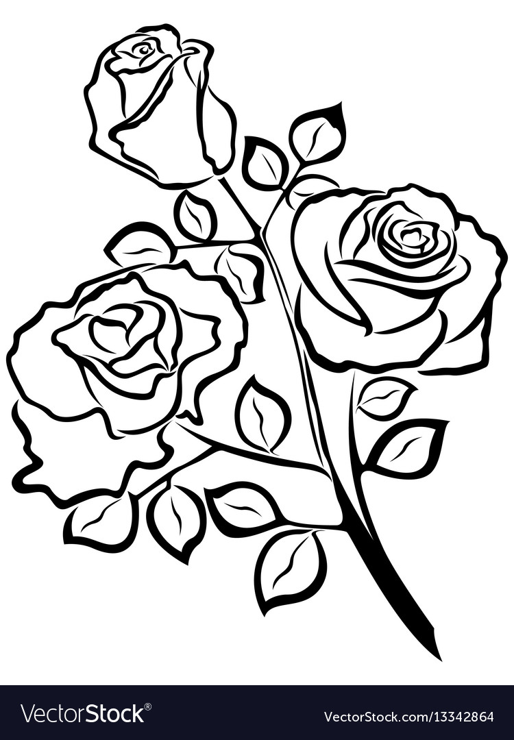 Download Black outline of rose flowers Royalty Free Vector Image