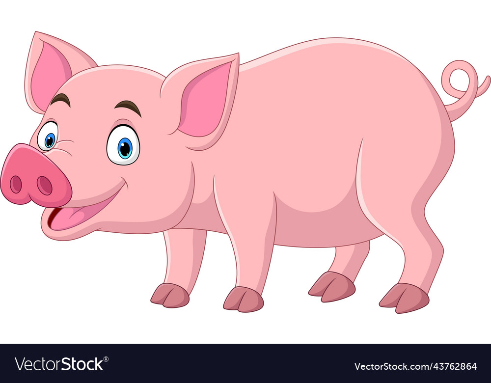 Cartoon funny pig on white background