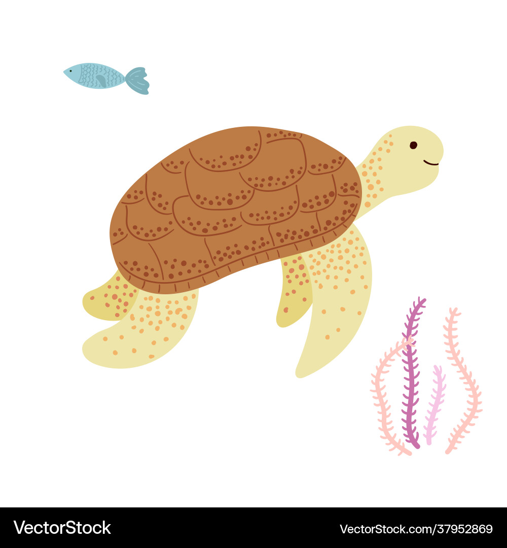 Turtle Royalty Free Vector Image - VectorStock