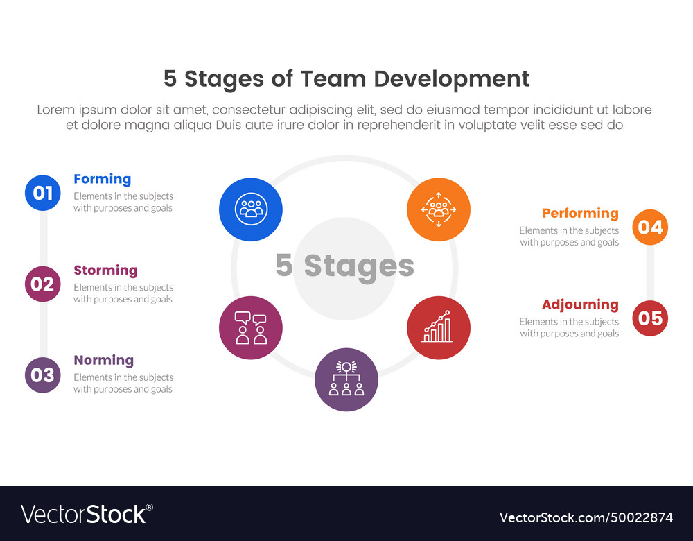 5 stages team development model framework Vector Image