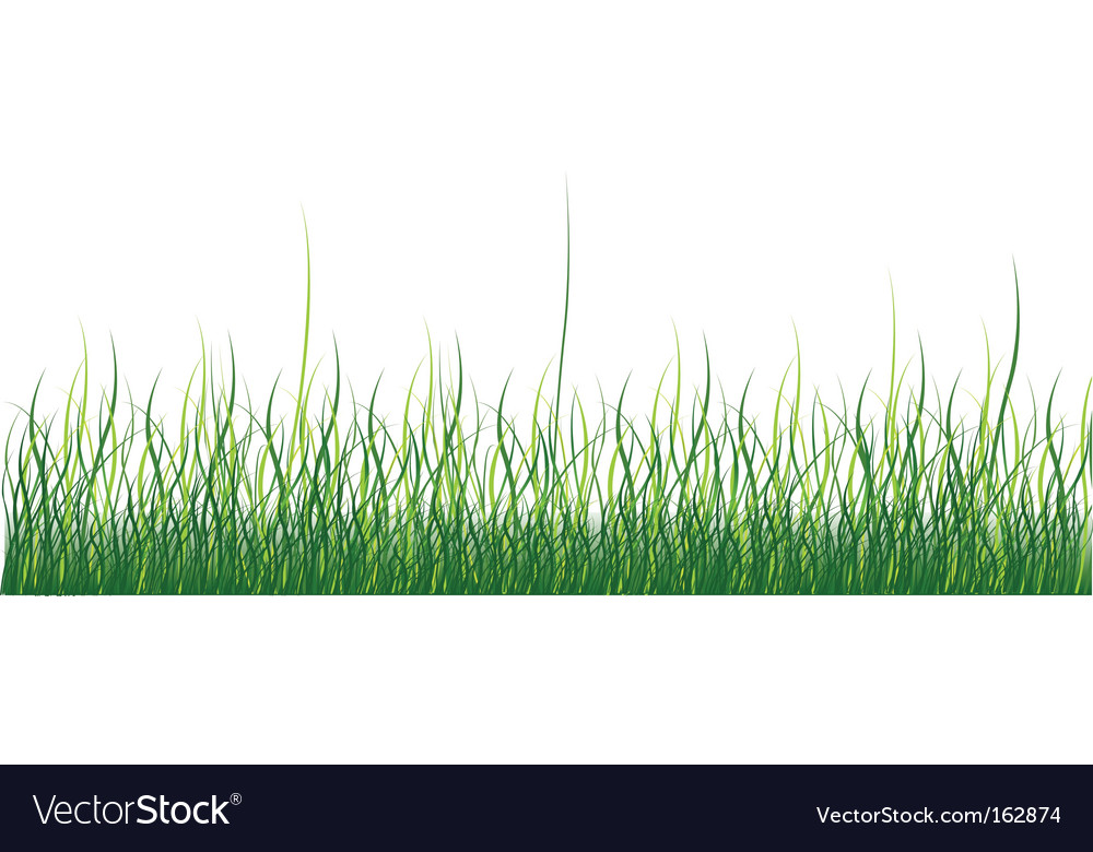 Green Grass Royalty Free Vector Image Vectorstock 1079