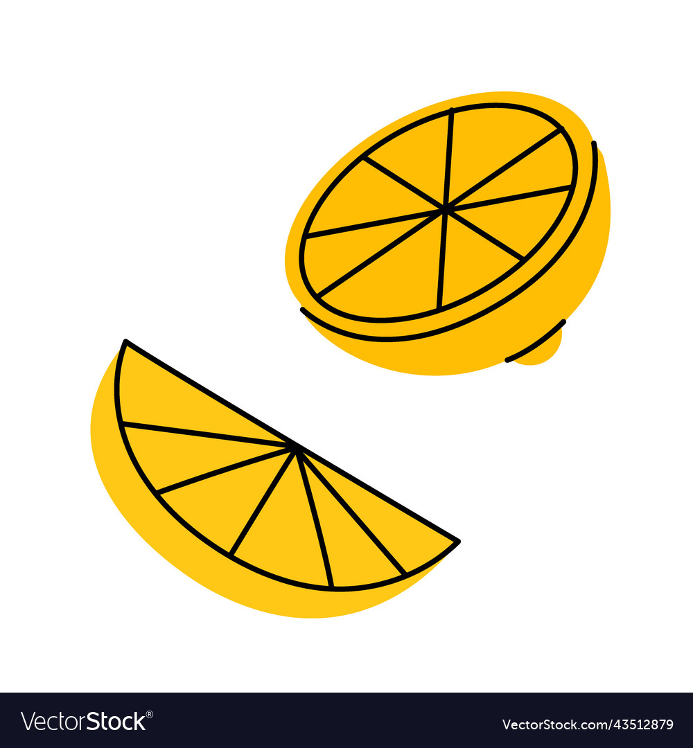 Yellow lemon fruit slices fresh citrus hand drawn