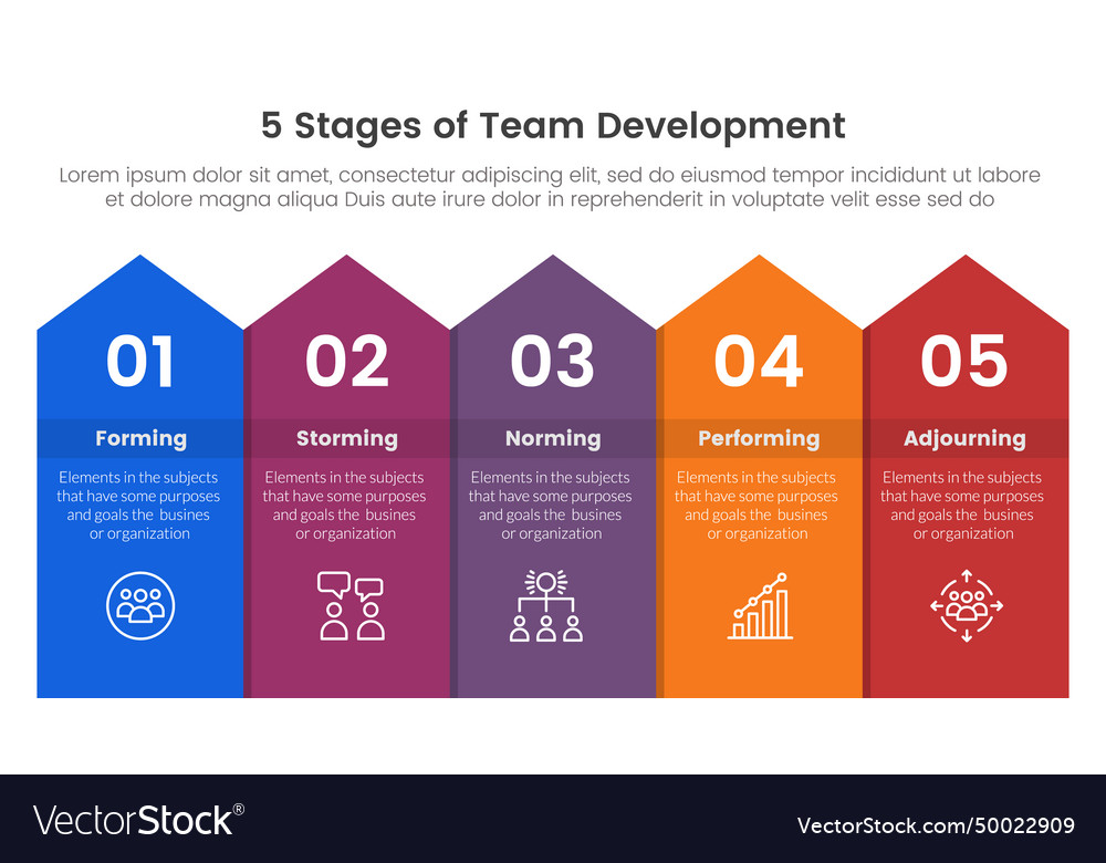 5 Stages Team Development Model Framework Vector Image 5 Stages Team Development Model Framework Vector Image
