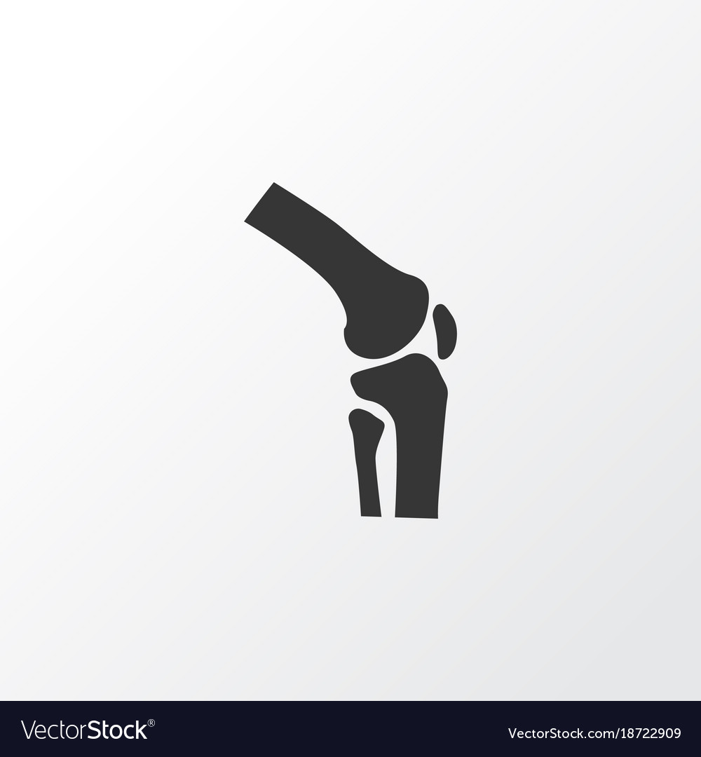 Joint icon symbol premium quality isolated knee Vector Image