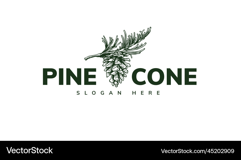 Pine cone logo design Royalty Free Vector Image