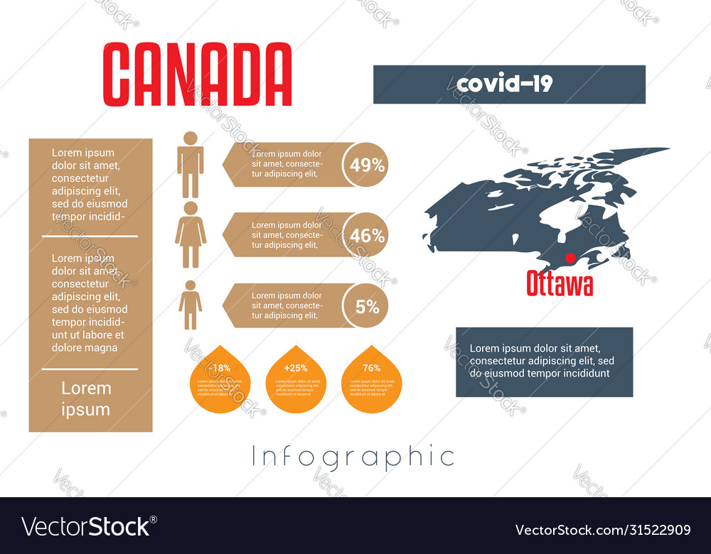 Universal template for infographics with canada Vector Image