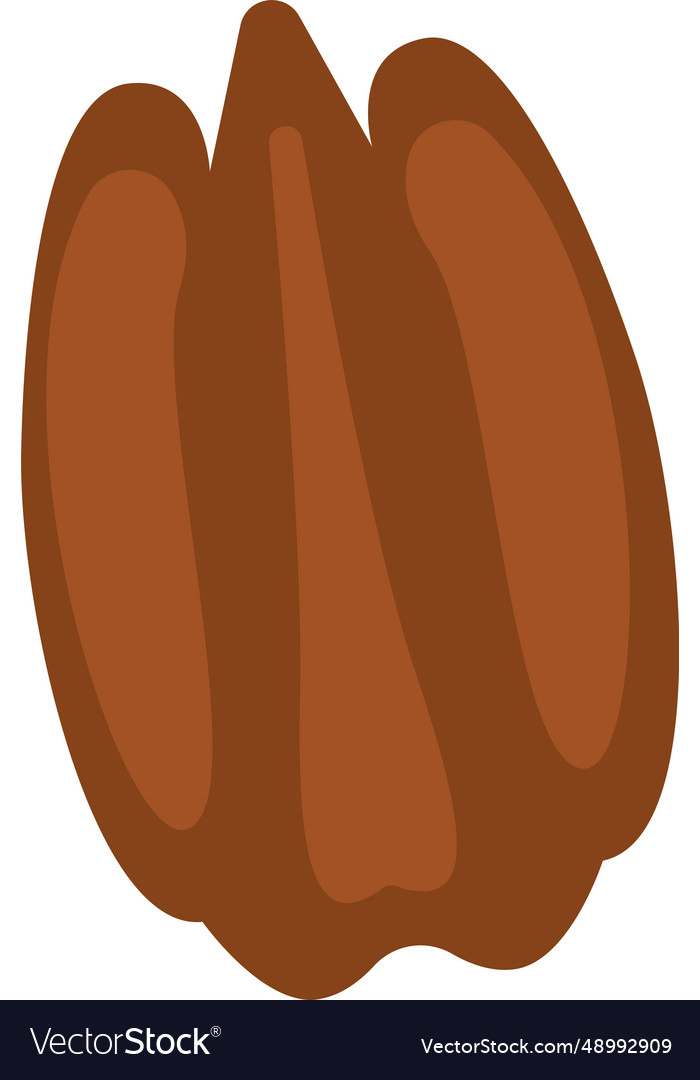 Walnut nut icon