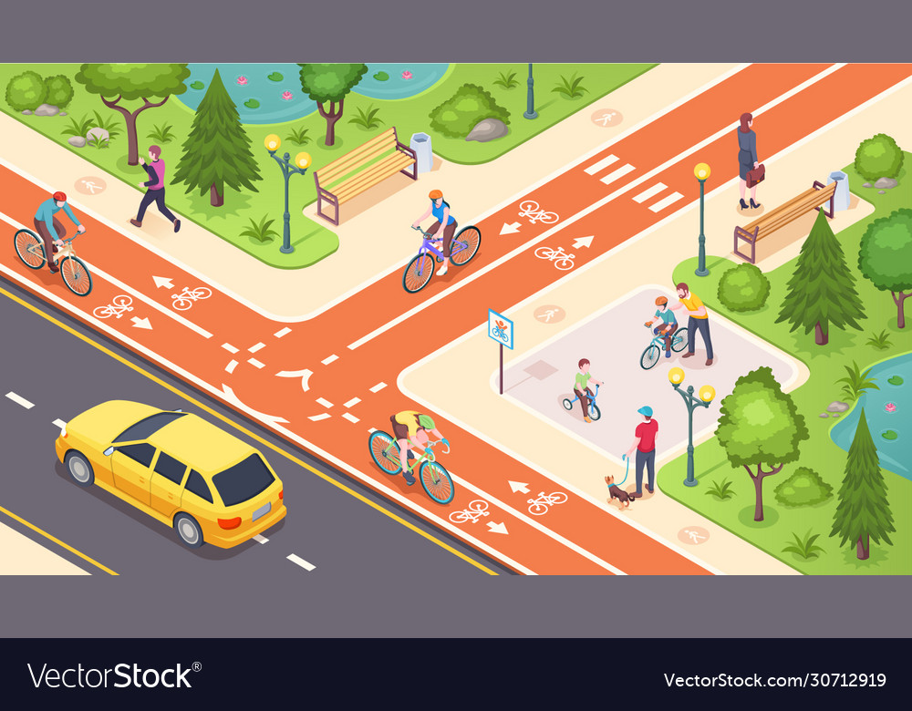 Bicycle path bike road lane isometric city street Vector Image