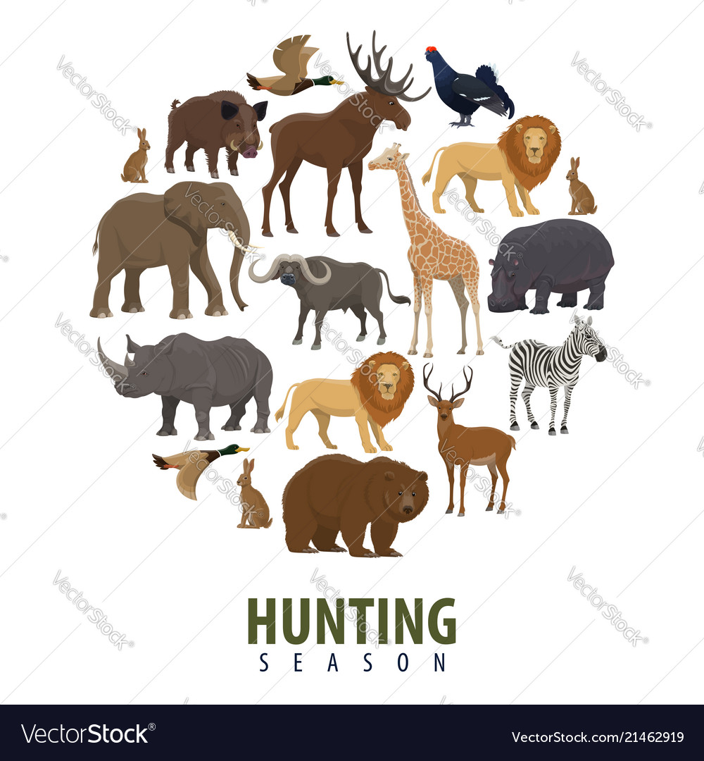 hunting season poster of wild animals royalty free vector