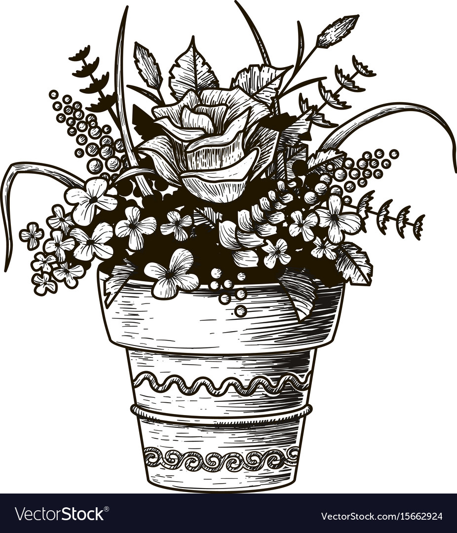 Home Plant Pots Sketch Outline Drawing Isolated Illustration Growing  Flowers Stock Vector by ©AcantStudio 477802510