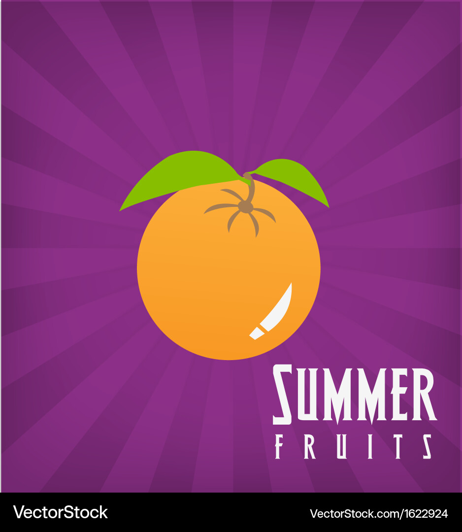 Orange Royalty Free Vector Image - VectorStock