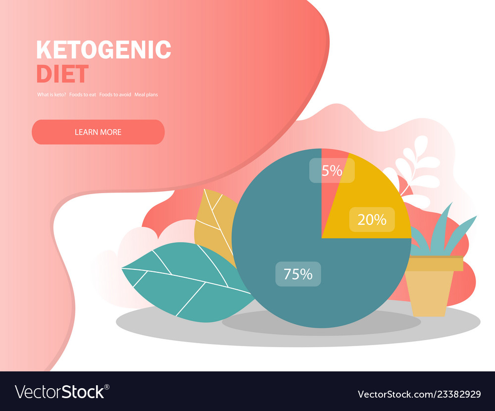 Ketogenic Diet Macros Diagram Low Carbs High Vector Image