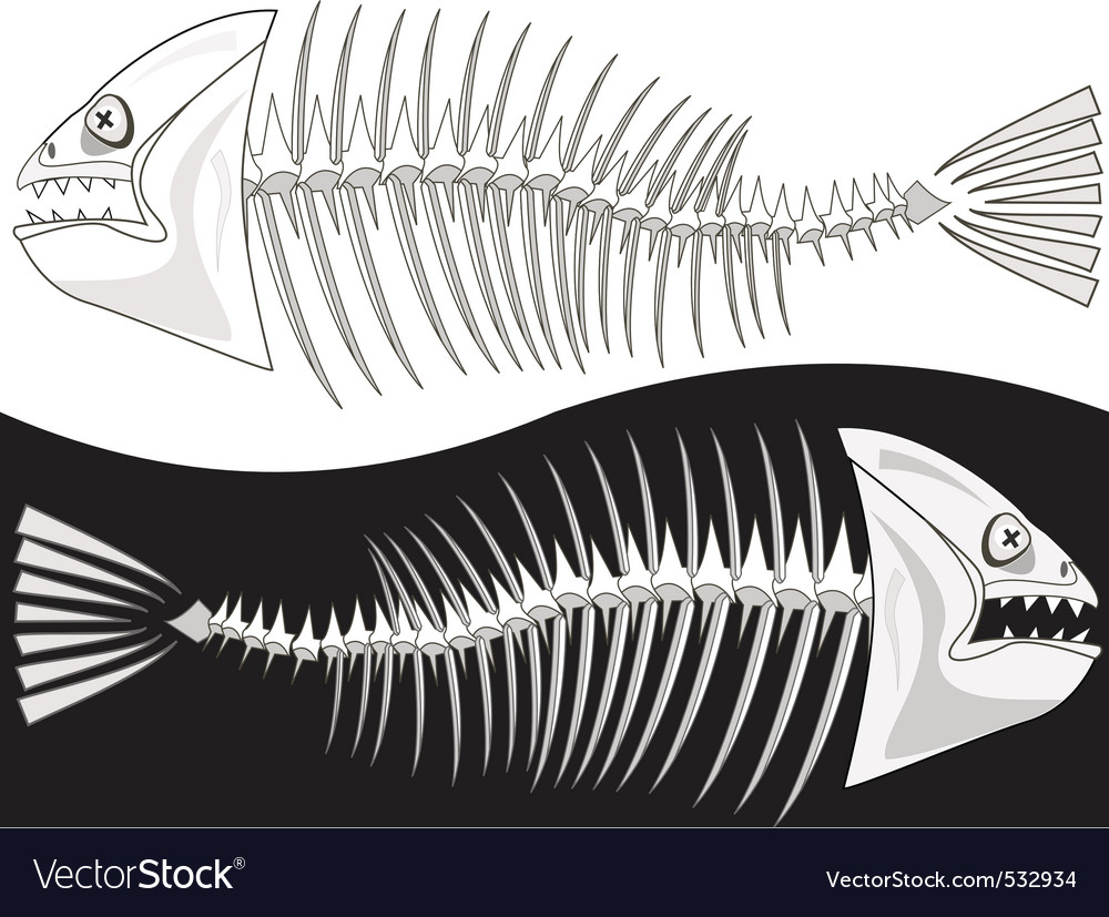 Download Skeleton fish Royalty Free Vector Image - VectorStock