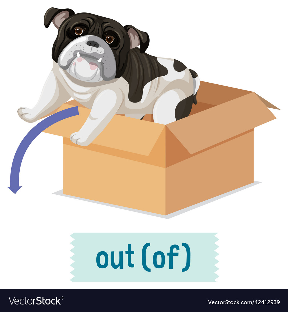 Preposition of place with cartoon dog and a box Vector Image Preposition of place with cartoon dog and a box Vector Image