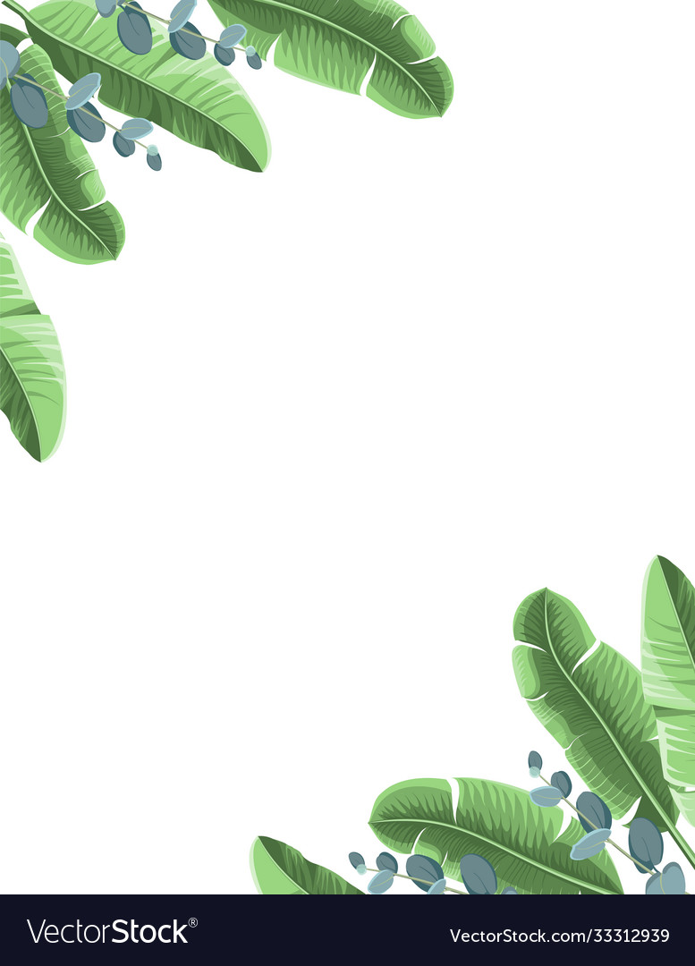 171 Background Putih Daun Images - MyWeb