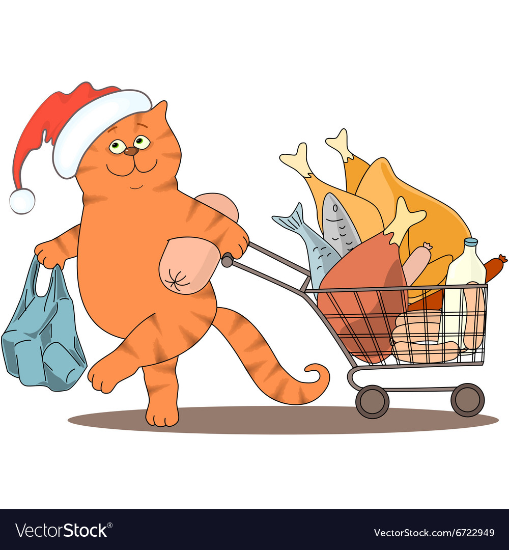 Cat and food santa