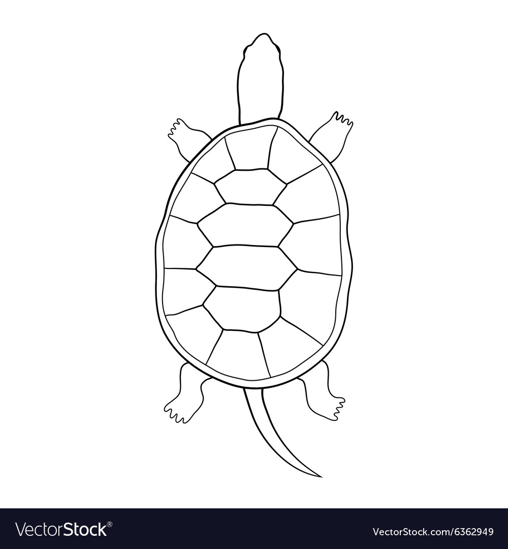 Hand drawn tortoise in cartoon style Royalty Free Vector