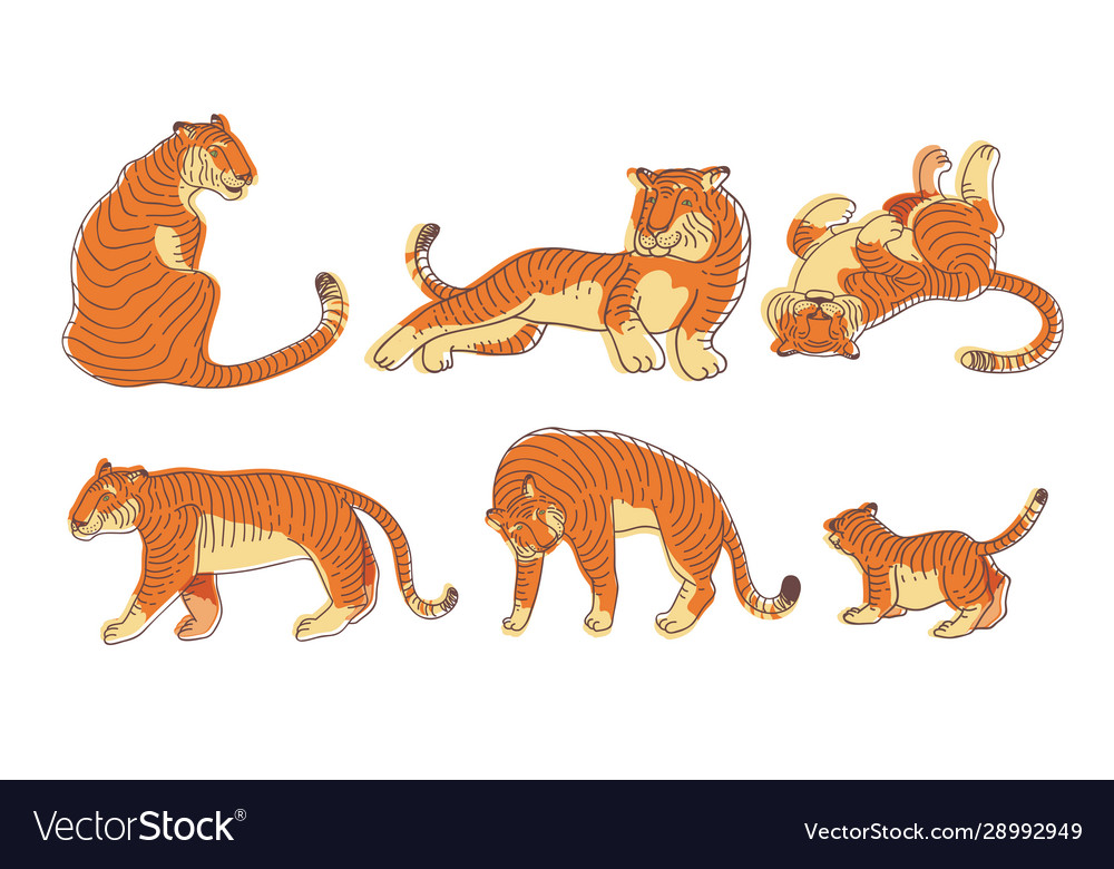 Of Different Animals Clipart Vector, Tiger With Different Poses In