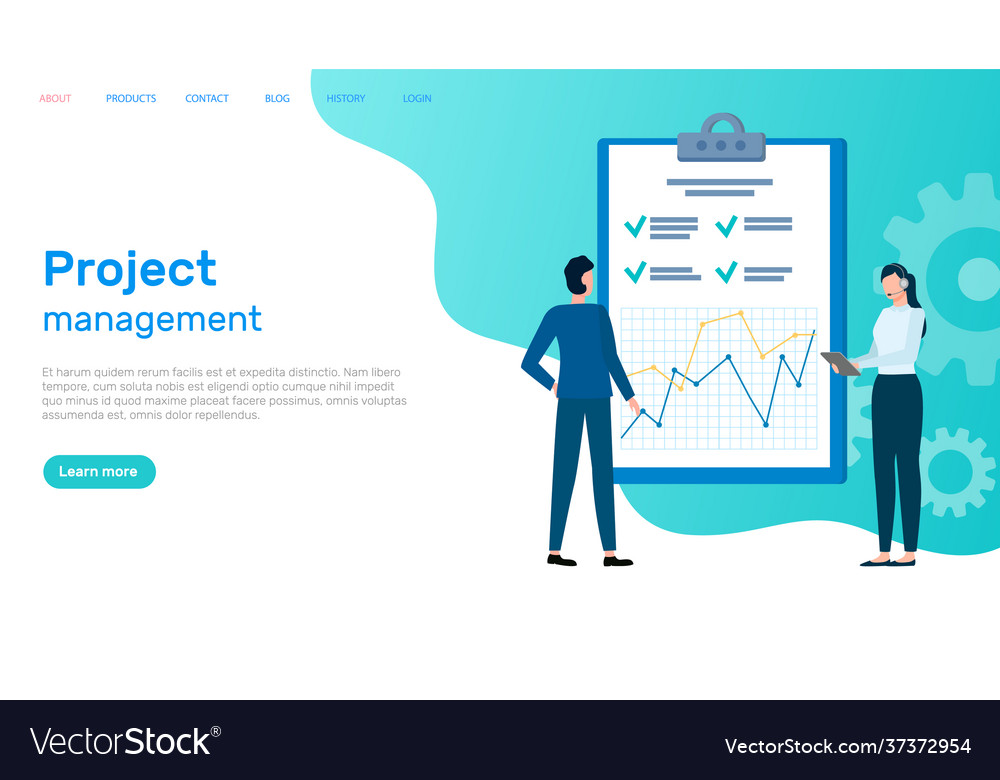 Шаблоны управление проектами. Управление проектом vector.