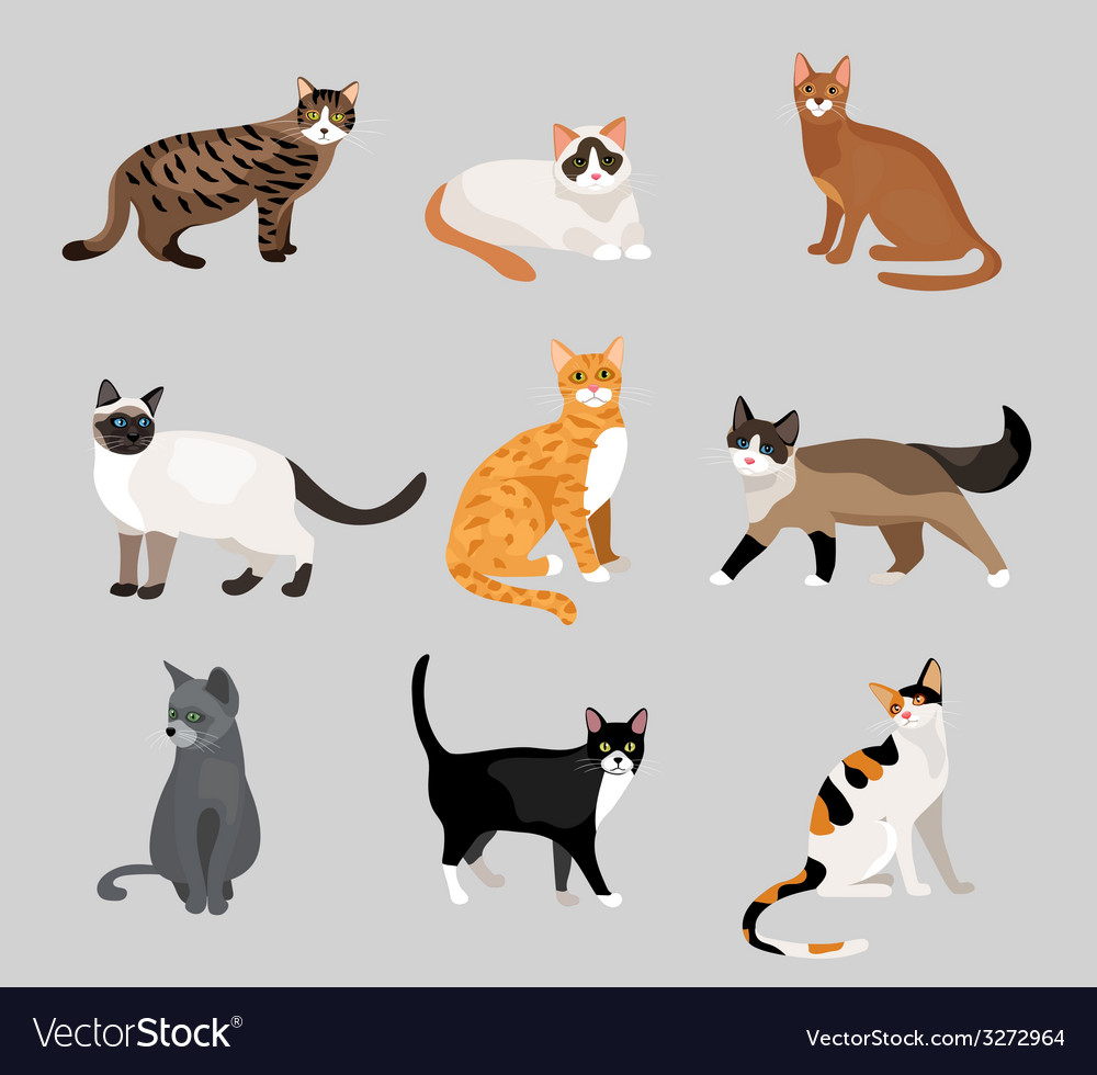 Set of cute cartoon kitties or cats Royalty Free Vector