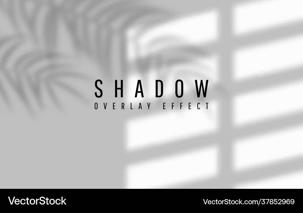 Shadow overlay effect transparent window Vector Image