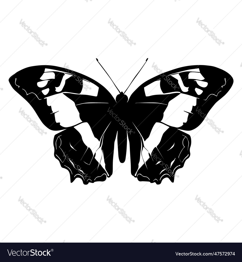 Butterfly silhouette isolated on white background Vector Image