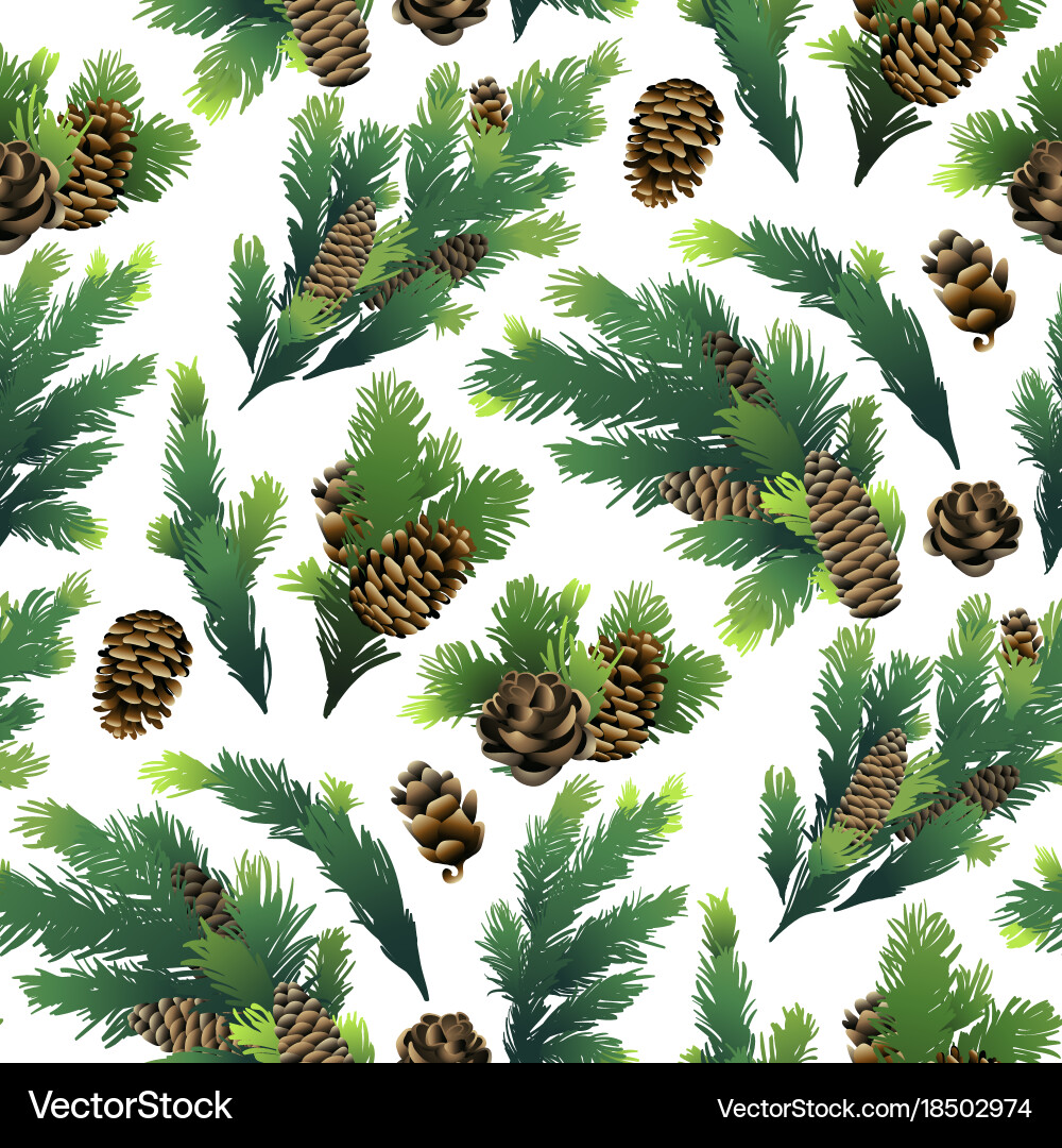 Pine tree branches and cones Royalty Free Vector Image