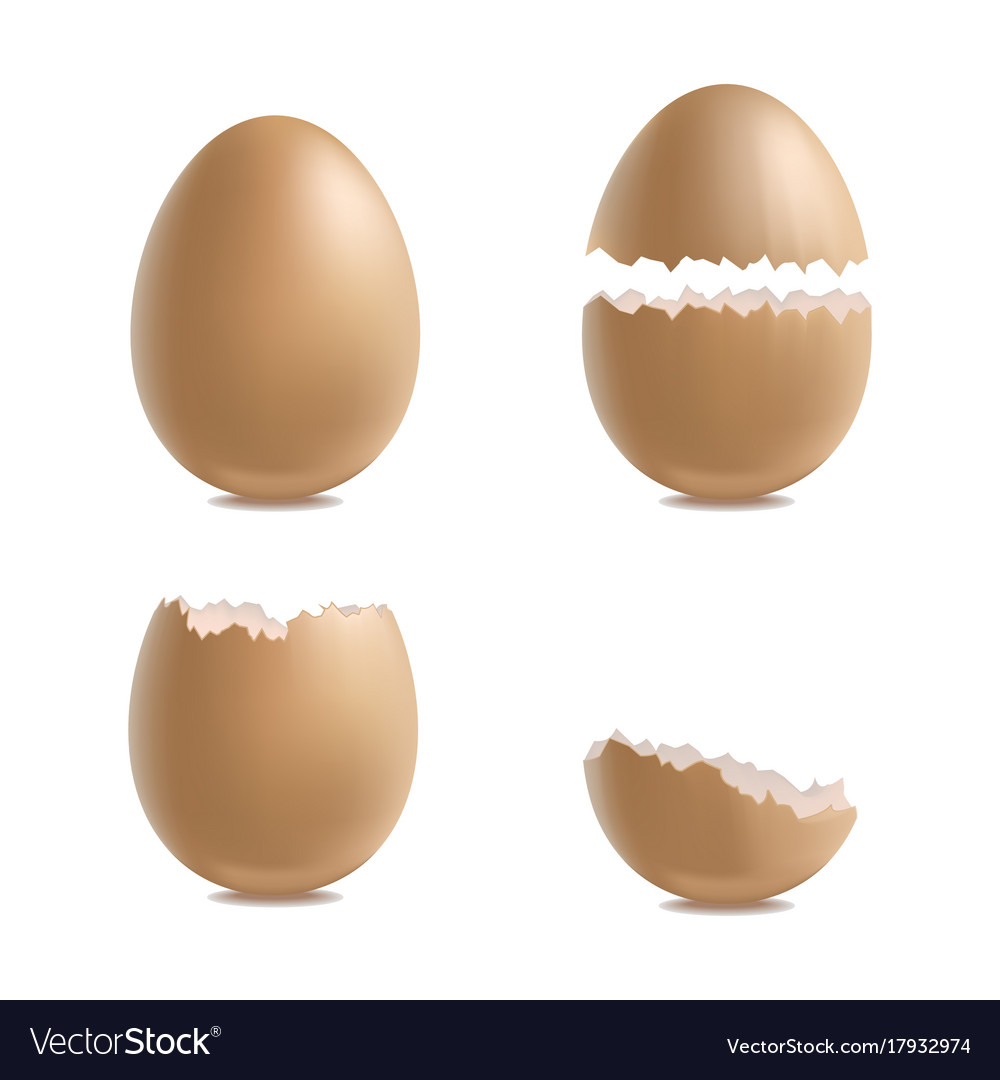 Realistic 3d detailed various closeup shell eggs