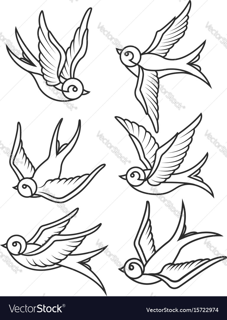 Set of swallow tattoo templates isolated on white Vector Image