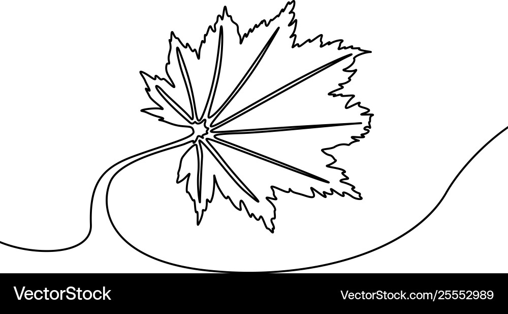 Continuous line autumn maple leaf Royalty Free Vector Image