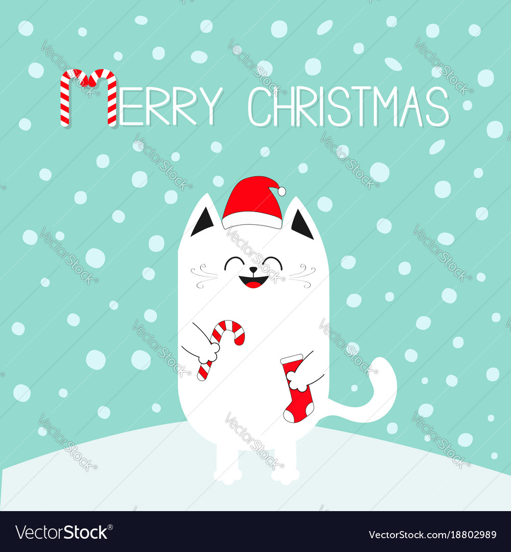 Merry christmas white cat holding candy cane sock