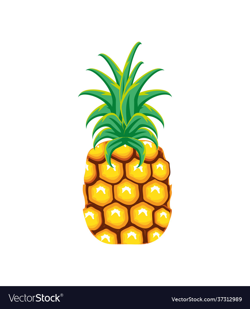 Tropical Fruit Pineapple Royalty Free Vector Image 1120