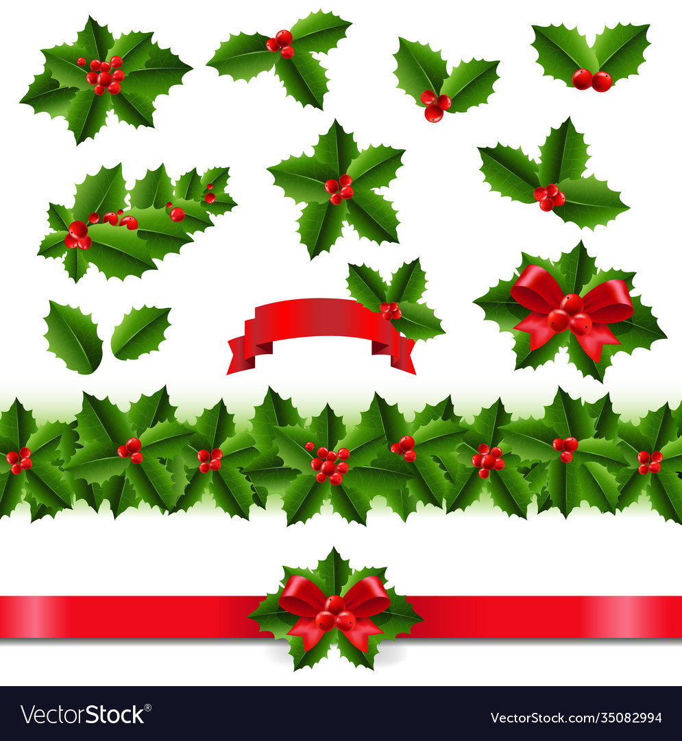 Holly berry big set white background Royalty Free Vector