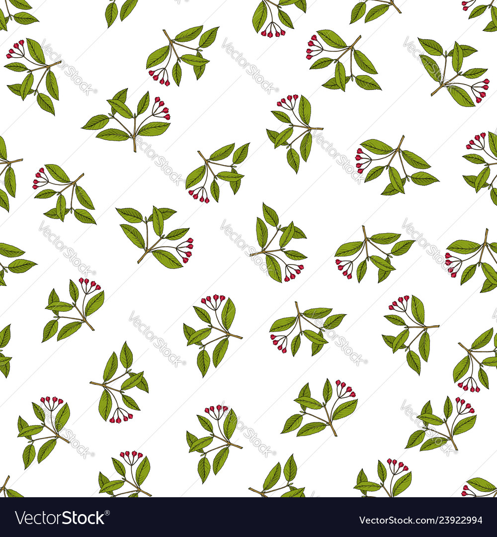 Seamless pattern with spindle tree branches