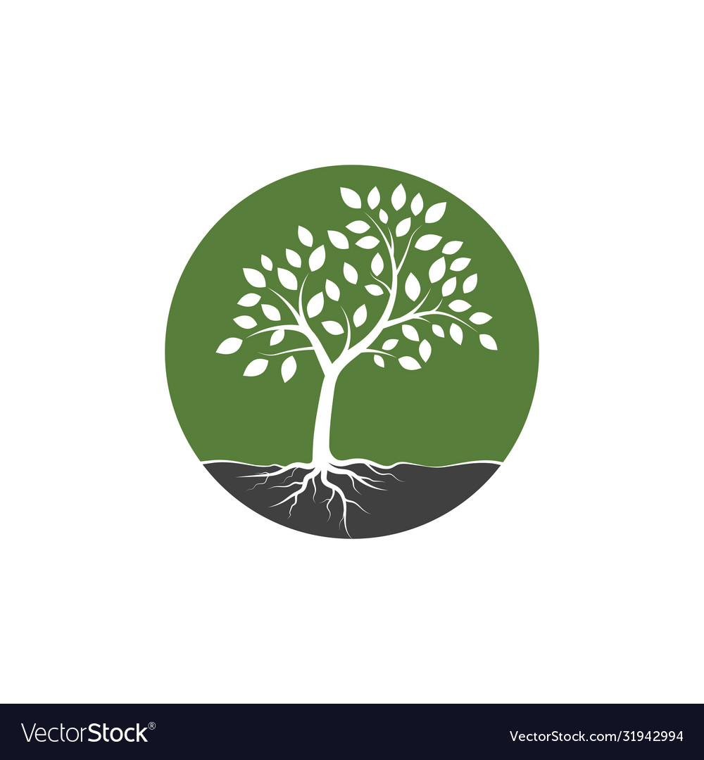 Tree branch design Royalty Free Vector Image - VectorStock