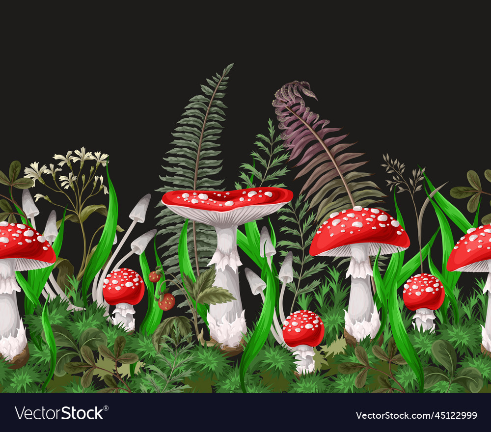 Border with fly agaric other mushrooms and plants