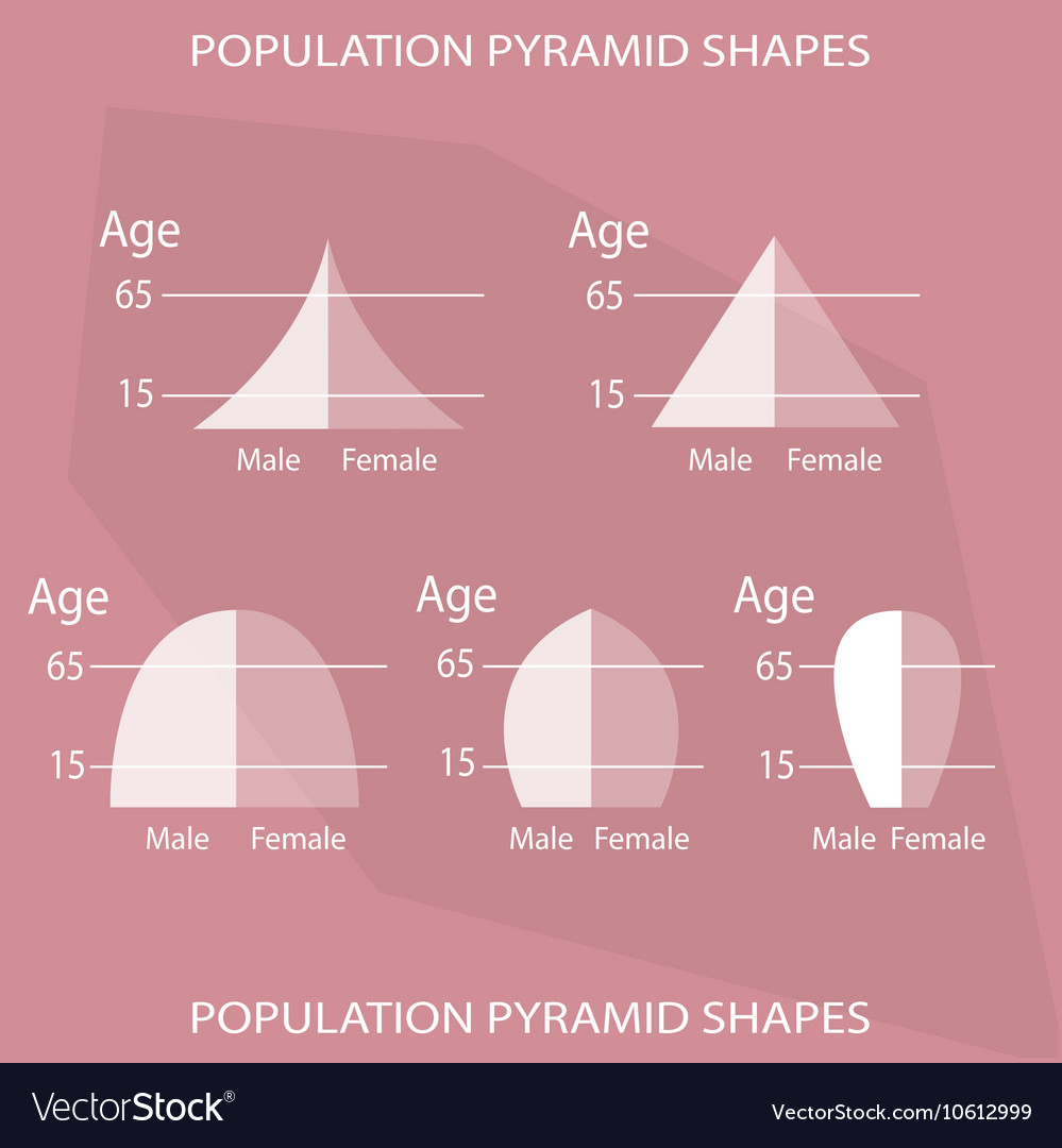 different-types-of-population-pyramids-charts-vector-image