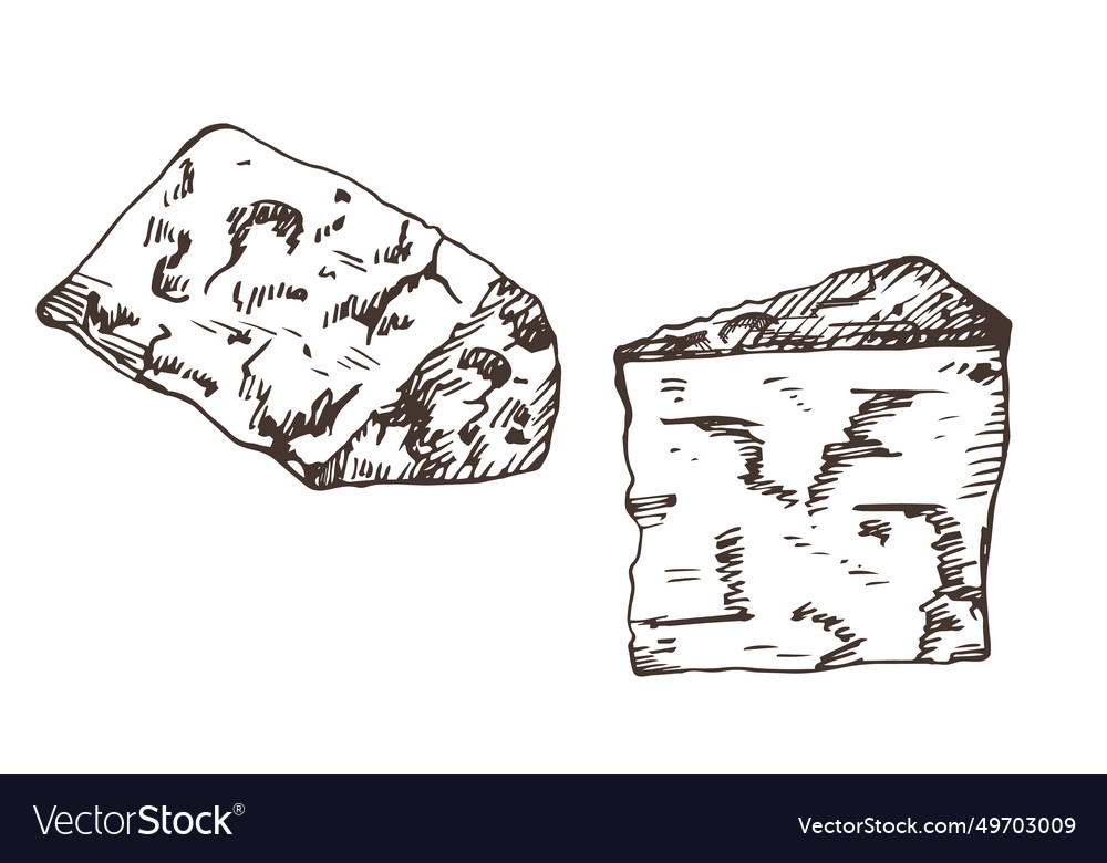 Blue cheese sketch hand drawn Royalty Free Vector Image