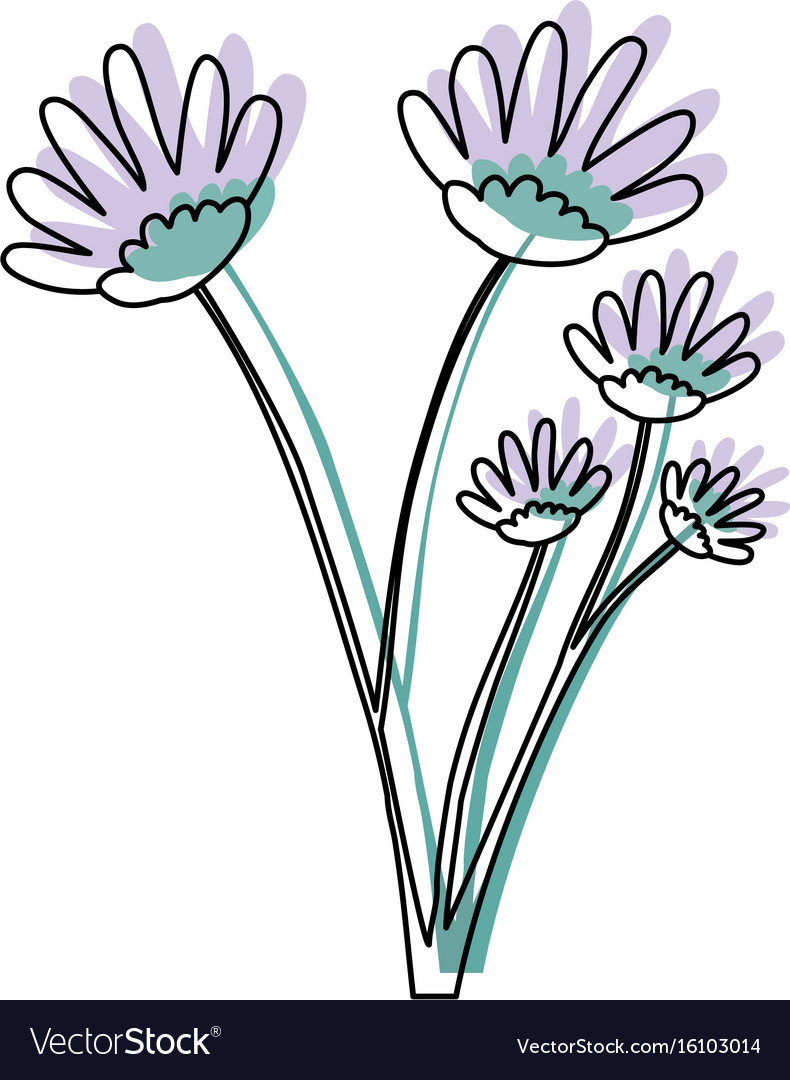 Watercolor silhouette hand drawing lilac daisy Vector Image