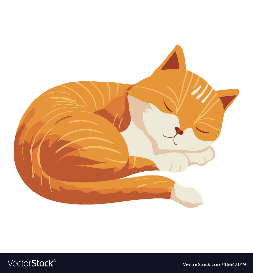 Fluffy kitten sleeping Royalty Free Vector Image