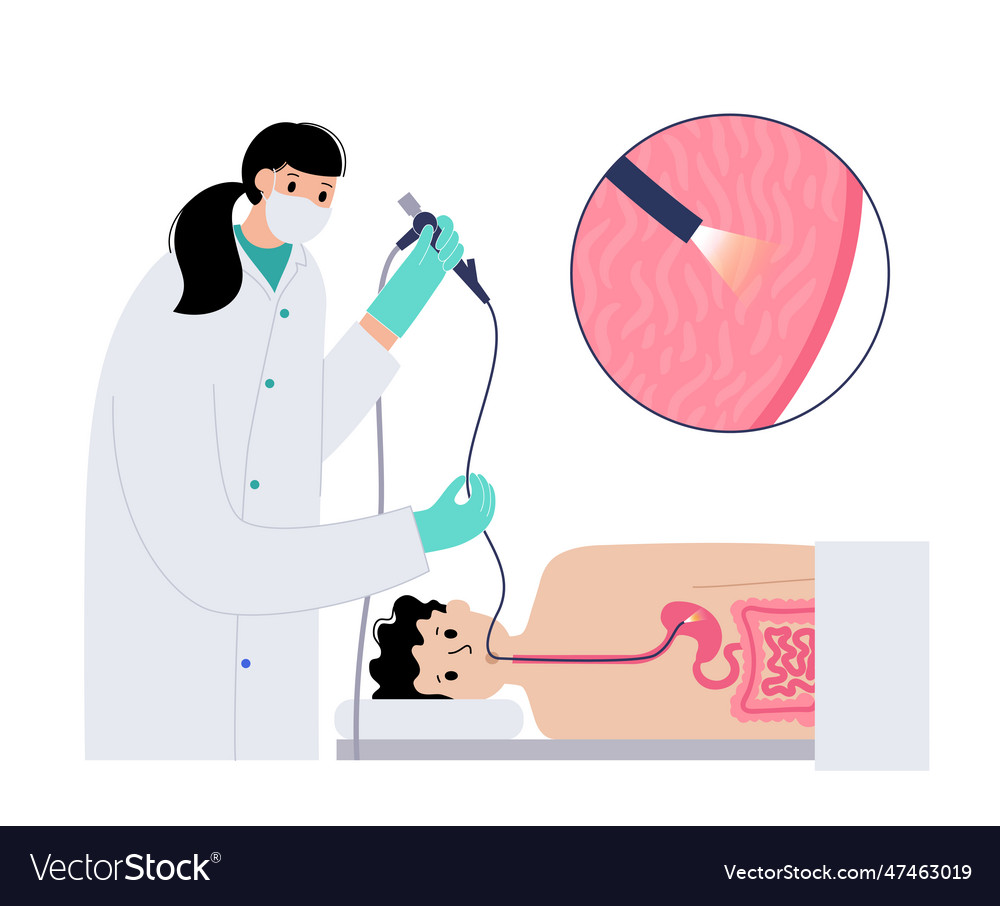 Gastroscopy Endoscopy Procedure Royalty Free Vector Image