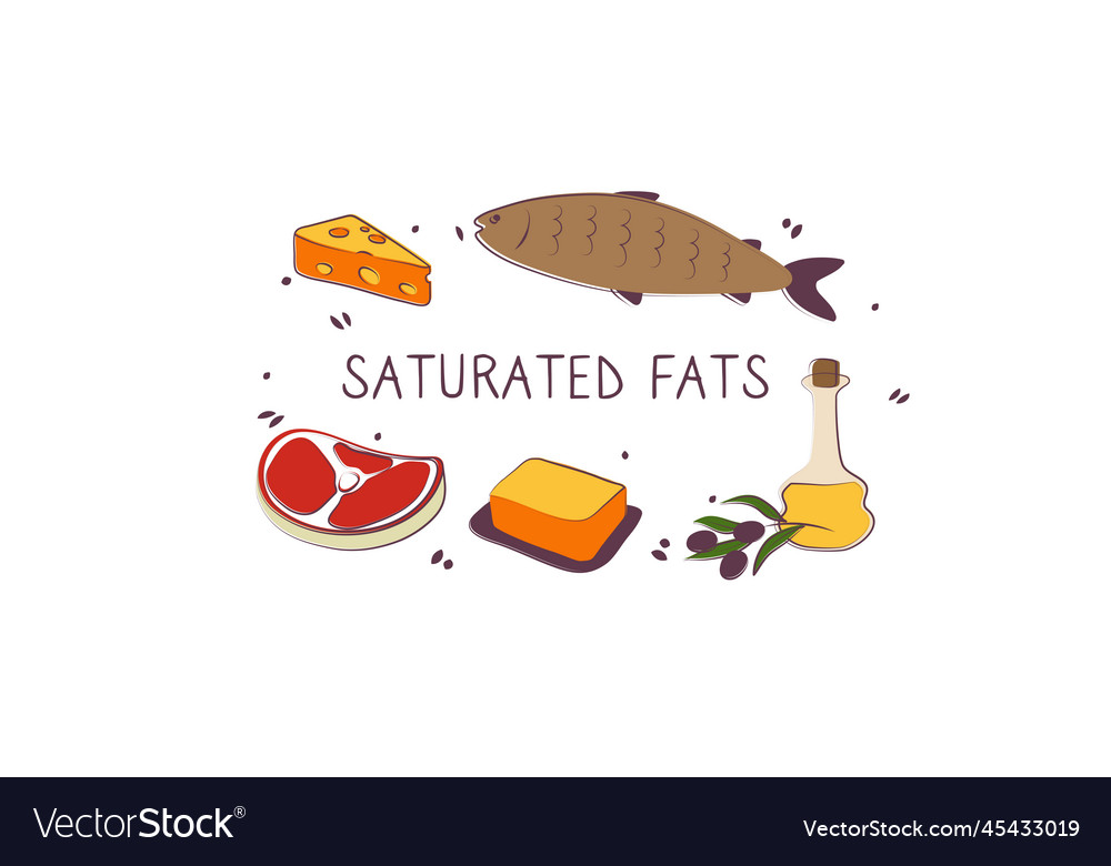 Saturated fatty acids-containing food groups Vector Image